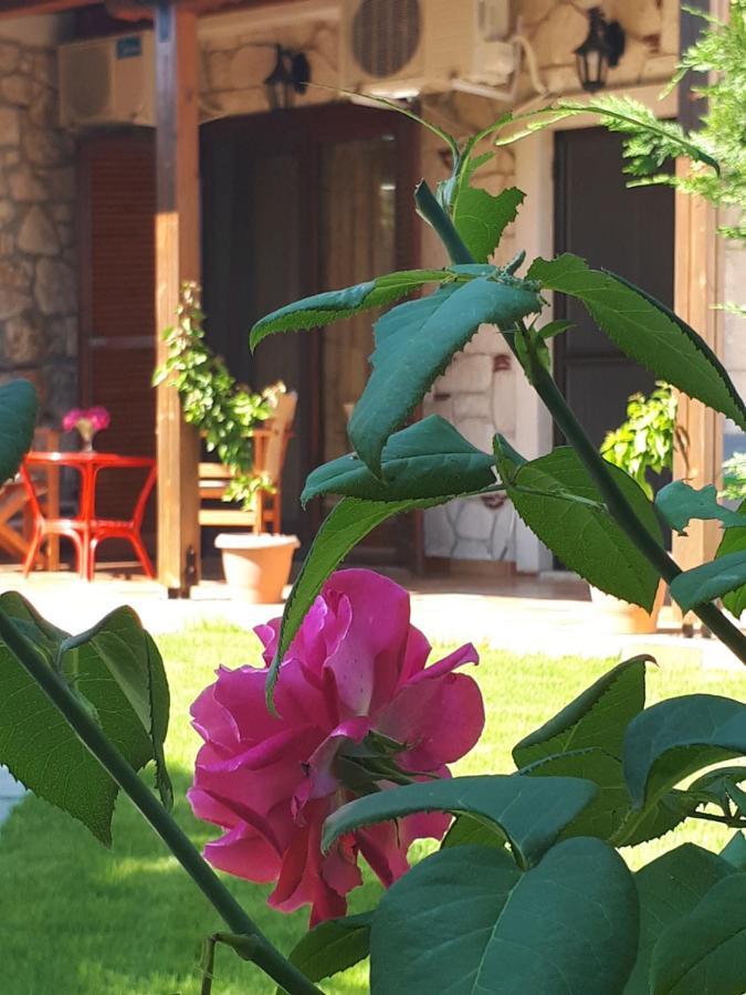 Villa George 아피토스 외부 사진