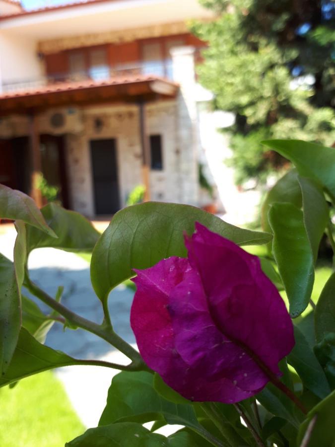 Villa George 아피토스 외부 사진